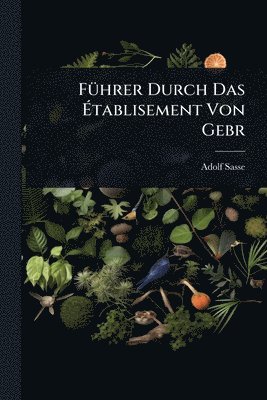 bokomslag FÃ1/4hrer Durch Das Ã¿tablisement Von Gebr