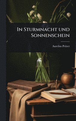 bokomslag In Sturmnacht und Sonnenschein