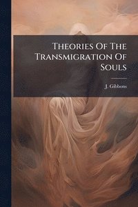 bokomslag Theories Of The Transmigration Of Souls
