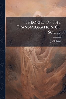 bokomslag Theories Of The Transmigration Of Souls