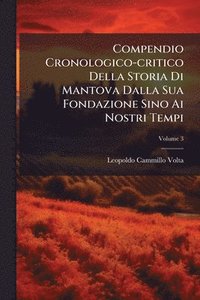 bokomslag Compendio Cronologico-critico Della Storia Di Mantova Dalla Sua Fondazione Sino Ai Nostri Tempi