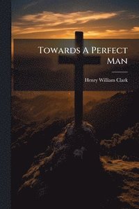 bokomslag Towards A Perfect Man