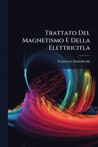 bokomslag Trattato Del Magnetismo E Della Elettricitla