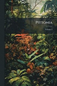 bokomslag Pittonia