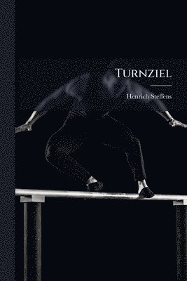 Henrich Steffens - Turnziel, Häftad