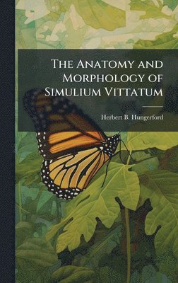 Anatomy and Morphology of Simulium Vittatum
