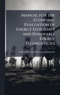bokomslag Manual for the Economic Evaluation of Energy Efficiency and Renewable Energy Technologies