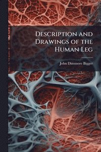 bokomslag Description and Drawings of the Human Leg
