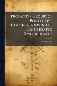 bokomslag Projective Groups of Perspective Collineations in the Plane Treated Synthetically