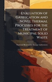 bokomslag Evaluation of Gasification and Novel Thermal Processes for the Treatment of Municipal Solid Waste