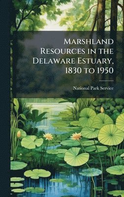 bokomslag Marshland Resources in the Delaware Estuary, 1830 to 1950
