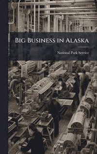 bokomslag Big Business in Alaska
