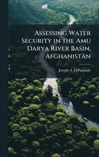bokomslag Assessing Water Security in the Amu Darya River Basin, Afghanistan