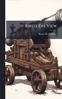 bokomslag Birdâ¿¿s Eye View