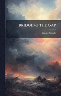 bokomslag Bridging the Gap