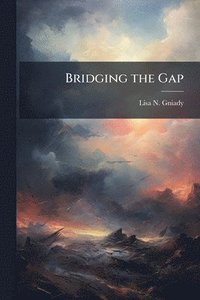 bokomslag Bridging the Gap