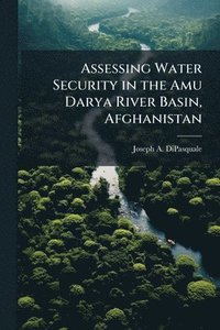 bokomslag Assessing Water Security in the Amu Darya River Basin, Afghanistan