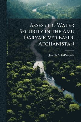 bokomslag Assessing Water Security in the Amu Darya River Basin, Afghanistan