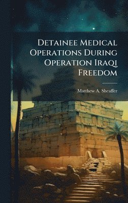 bokomslag Detainee Medical Operations During Operation Iraqi Freedom