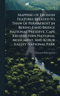 bokomslag Mapping of Erosion Features Related to Thaw of Permafrost in Bering Land Bridge National Preserve, Cape Krusenstern National Monument, and Kobuk Valley National Park