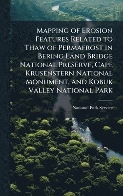 bokomslag Mapping of Erosion Features Related to Thaw of Permafrost in Bering Land Bridge National Preserve, Cape Krusenstern National Monument, and Kobuk Valle