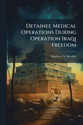 bokomslag Detainee Medical Operations During Operation Iraqi Freedom