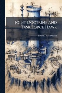 bokomslag Joint Doctrine and Task Force Hawk