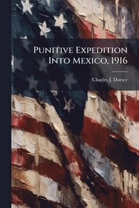 bokomslag Punitive Expedition Into Mexico, 1916