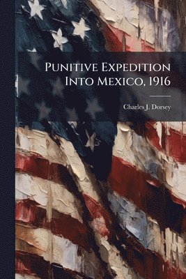 bokomslag Punitive Expedition Into Mexico, 1916