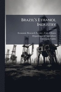 bokomslag Brazilâ¿(TM)s Ethanol Industry