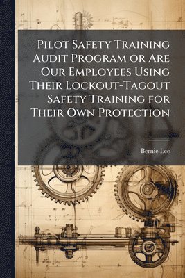 bokomslag Pilot Safety Training Audit Program or Are Our Employees Using Their Lockout-Tagout Safety Training for Their Own Protection