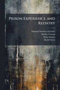 bokomslag Prison Experience and Reentry