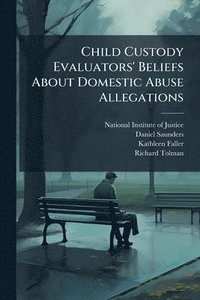 bokomslag Child Custody Evaluators' Beliefs About Domestic Abuse Allegations