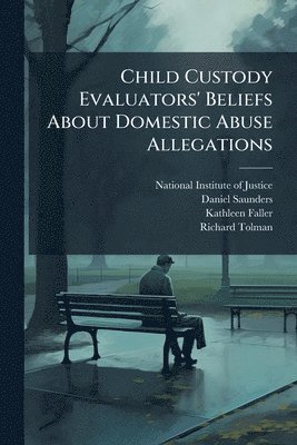 bokomslag Child Custody Evaluators' Beliefs About Domestic Abuse Allegations