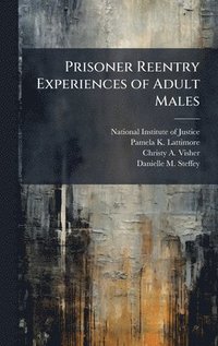 bokomslag Prisoner Reentry Experiences of Adult Males