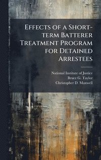 bokomslag Effects of a Short-term Batterer Treatment Program for Detained Arrestees
