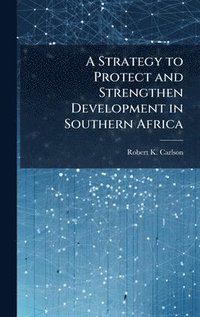 bokomslag Strategy to Protect and Strengthen Development in Southern Africa