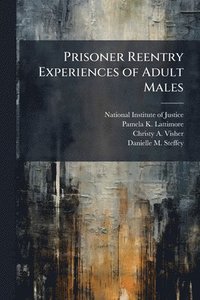 bokomslag Prisoner Reentry Experiences of Adult Males