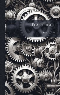 bokomslag Flashlight