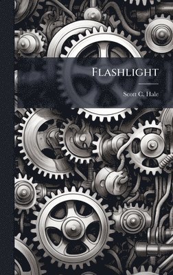 bokomslag Flashlight