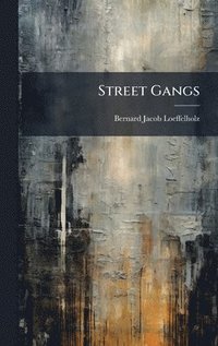 bokomslag Street Gangs