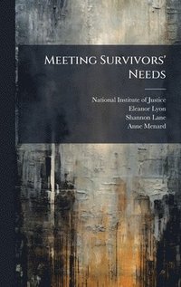 bokomslag Meeting Survivors' Needs