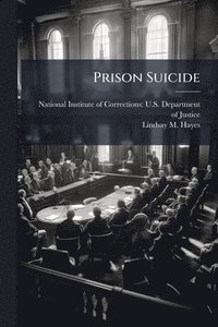 bokomslag Prison Suicide