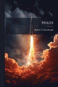 bokomslag Holes