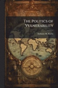 bokomslag Politics of Vulnerability
