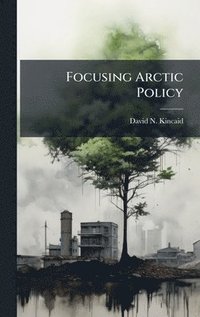 bokomslag Focusing Arctic Policy