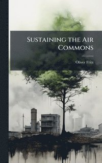 bokomslag Sustaining the Air Commons