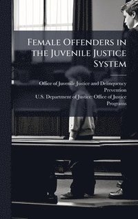 bokomslag Female Offenders in the Juvenile Justice System
