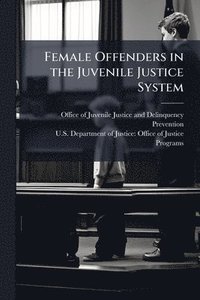 bokomslag Female Offenders in the Juvenile Justice System