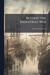 bokomslag Beyond the Industrial Web